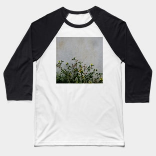 Yellow daisies wild flowers white wall Baseball T-Shirt